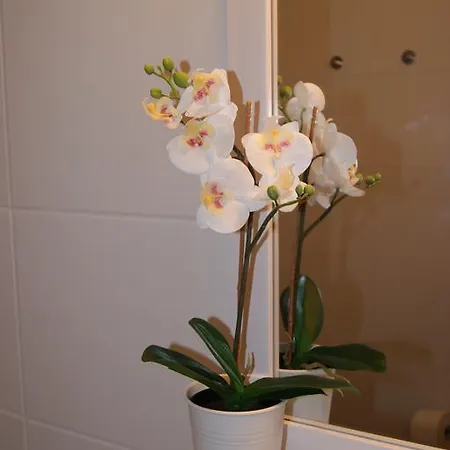Flora Krefeld